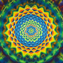 Load image into Gallery viewer, Size Large Heptadala
